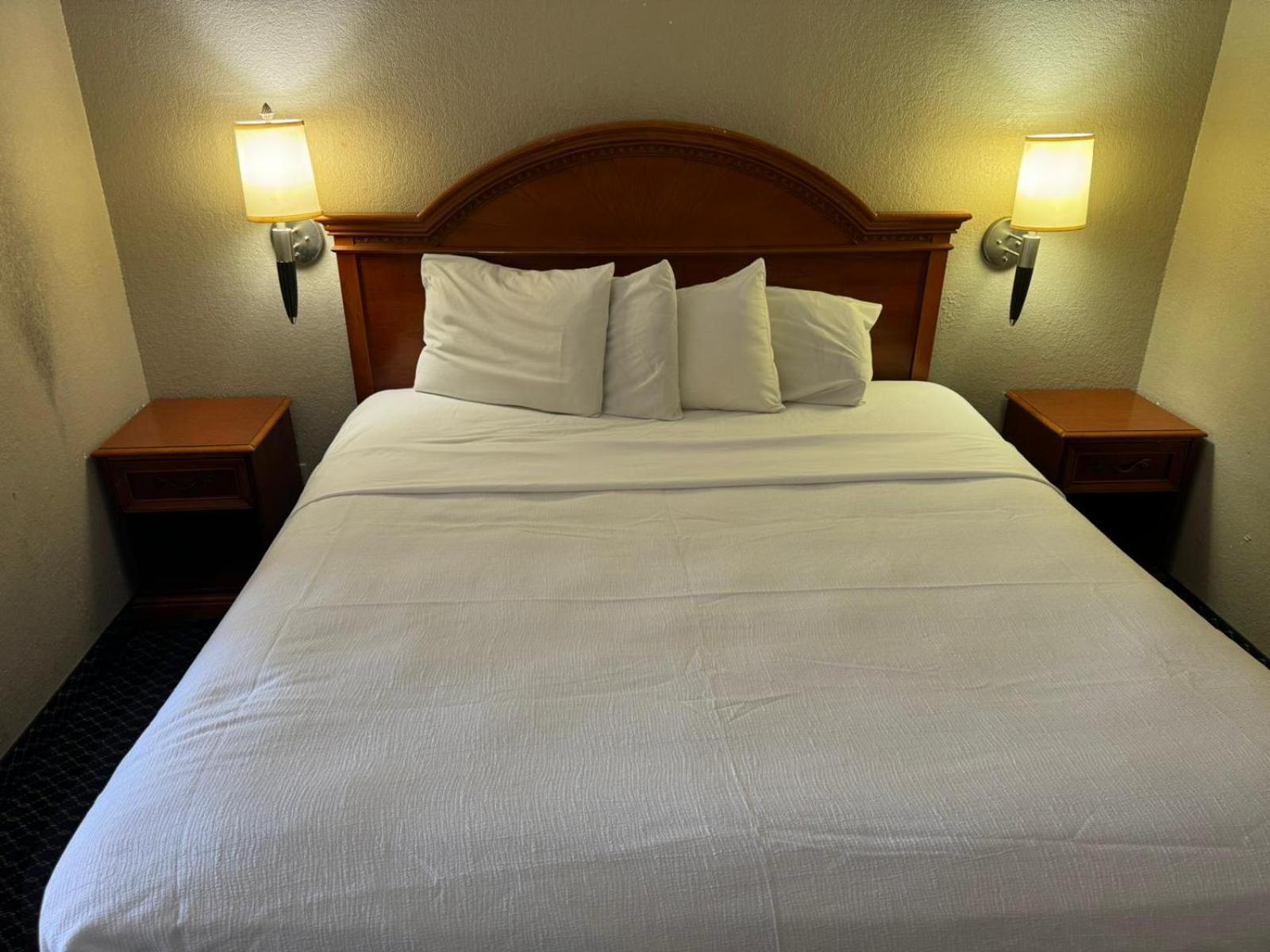 Homegate Studio And Suites San Antonio Eksteriør bilde